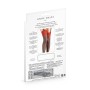 Bas nylons avec coutures Couleur Rouge