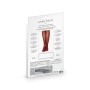 Bas pour porte-jarretelles Flora Couleur Rouge