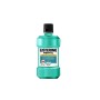 Listerine Mentol Rinçage Oral 250ml