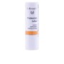Dr Hauschka Protection Des Lèvres 4,9g